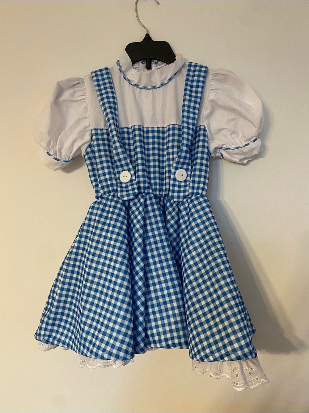 Dorothy costume